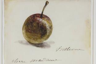 Eduard Manet, 1880.
Collectie: Museum Boijmans Van Beuningen, Rotterdam.